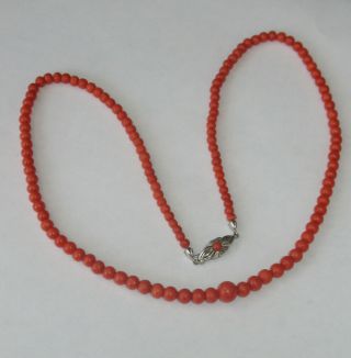 Natural red Coral necklace with 8 ct.  GOLD CLASP rare ca.  1900 5