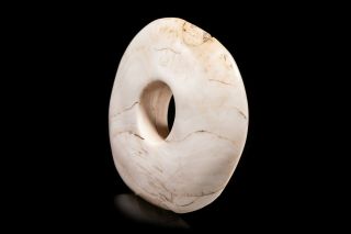 very important Boiken WENGA primitive shell ring currency with a weight of 5 kg 2