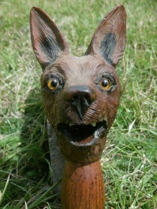 Stunning 19thc Black Forest Oak Carved Fox Head With Orig.  Glass Eyes C.  1870 