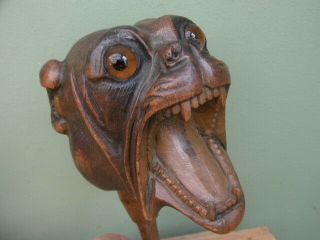 MAGNIFICENT 19thc BLACK FOREST OAK CARVED BULLDOG ORIG AMBER GLASS EYES C.  1860 ' s 10