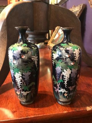 Fine C19th Japanese Cloisonne Wisteria Birds Decorated Vase Pair 6 "