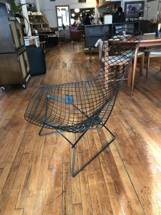 Vintage Harry Bertoia For Knoll Bird Lounge Wire Chair