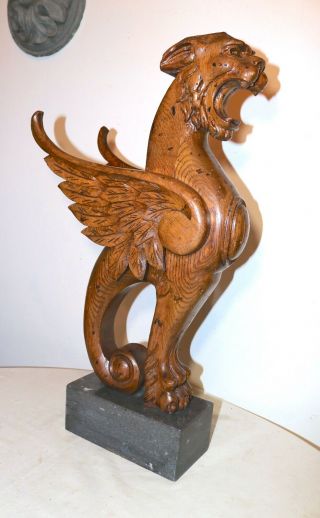Large Antique Hand Carved Wood Victorian Griffin Architectural Salvage Sculpture