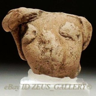 Pre Columbian Pottery Michoacan Fertility Figure & Elb Gallery Cert.  Authenticity
