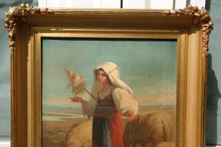 19thC Antique OLD WEST Town MEXICAN BORDER Young LADY SHEPHERD & SHEEP PAINTING 3