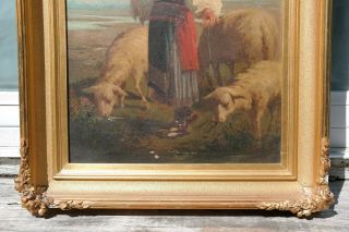 19thC Antique OLD WEST Town MEXICAN BORDER Young LADY SHEPHERD & SHEEP PAINTING 4