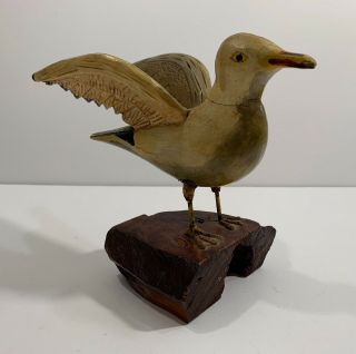 American Folk Art Seagull Decoy Bird Carving Signed Watertown Ny