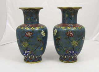 Pair Chinese Qing Dynasty Cloisonne Vases