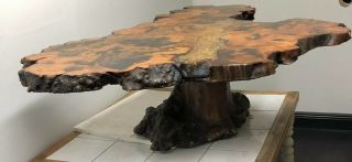 “An Star Dust” 18001 Burl wood coffee table by Burlwood Co,  Redding CA 3