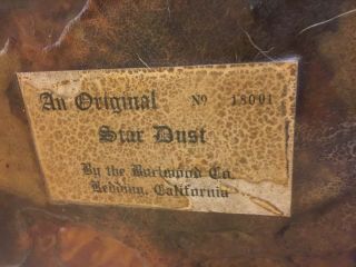 “An Star Dust” 18001 Burl wood coffee table by Burlwood Co,  Redding CA 6