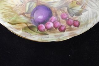 AYNSLEY HAND PAINTED ORCHARD FRUIT GOLD SIGNED D.  JONES CAB.  TEA CUP AND SAUCER 6