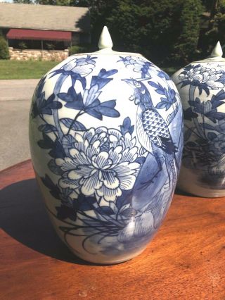 A Pair Antique Chinese Porcelain Blue And White Jar With Lid 19th Century 3