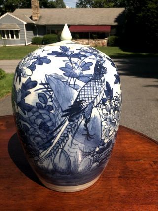 A Pair Antique Chinese Porcelain Blue And White Jar With Lid 19th Century 4