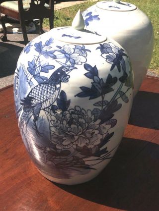 A Pair Antique Chinese Porcelain Blue And White Jar With Lid 19th Century 6