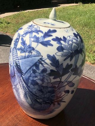 A Pair Antique Chinese Porcelain Blue And White Jar With Lid 19th Century 7