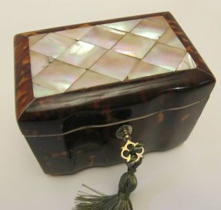 Antique 19th Century Tortoiseshell Tea Caddy Circa 1820 With Key Mother Of Pearl