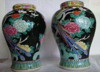 Antique Chinese Famille Noire Black Glaze Phoenix? Vases Jars Signed