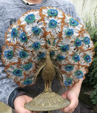 Antique Vintage Czech Glass Gilt Bronze Peacock Lamp Beaded Bodouir Brass Bird