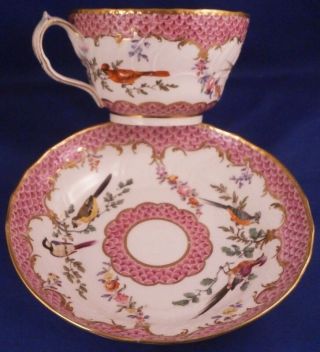 Antique Early 19thc English Porcelain Bird Scene Cup & Saucer Porzellan Teller