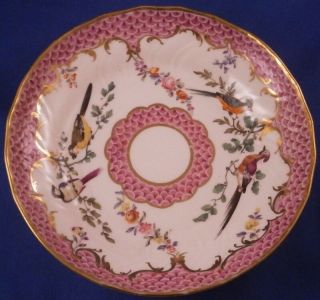 Antique Early 19thC English Porcelain Bird Scene Cup & Saucer Porzellan Teller 2