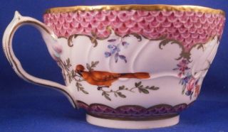 Antique Early 19thC English Porcelain Bird Scene Cup & Saucer Porzellan Teller 5