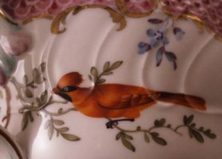 Antique Early 19thC English Porcelain Bird Scene Cup & Saucer Porzellan Teller 6