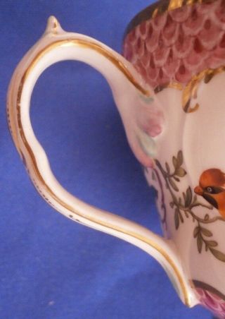 Antique Early 19thC English Porcelain Bird Scene Cup & Saucer Porzellan Teller 7