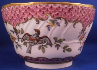 Antique Early 19thC English Porcelain Bird Scene Cup & Saucer Porzellan Teller 8