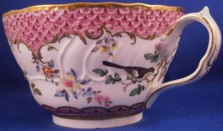 Antique Early 19thC English Porcelain Bird Scene Cup & Saucer Porzellan Teller 9