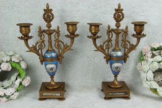 Pair French Antique Spelter Bronze Sevres Porcelain Bird Floral Candlesticks