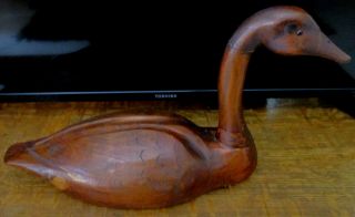 Antique Americana Hand Carved Wood 23 " Goose From Pennsylvania Circa 1800s