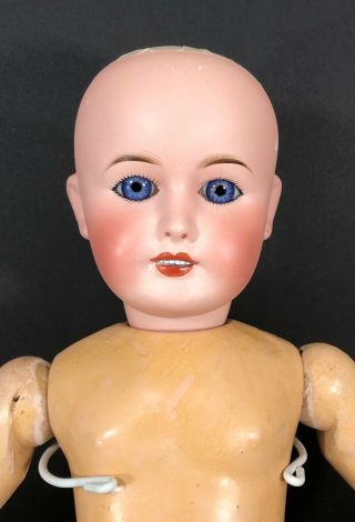 Antique French Bisque Doll - Bebe Limoges Size 12 Eyes 5
