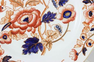 SET 6 DINNER PLATES WEDGWOOD CHINA WINDERMERE IMARI ORANGE COBALT GOLD HAND DECO 9