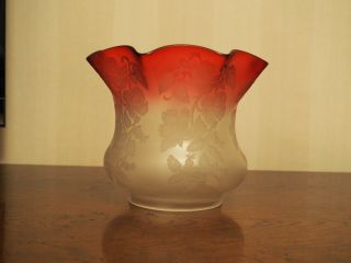 Cranberry Antique Oil Lamp Shade 4 " Fitter Rim