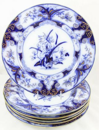 Set 6 Flow Blue Antique English Dinner Plates Wedgwood Iris Hand Painted Gold