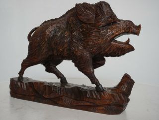 Antique Black Forest Carved Wood Wild Boar W.  Glass Eyes