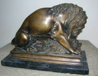 Antique Edwardian Bronze Lion and kill.  Absolutely stunning 3