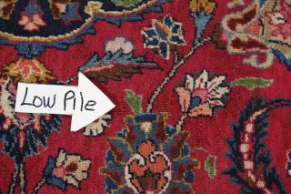 Traditional Floral Oriental Area Rug Wool Handmade Medallion Carpet 10 x 12 11