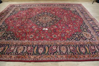 Traditional Floral Oriental Area Rug Wool Handmade Medallion Carpet 10 x 12 12