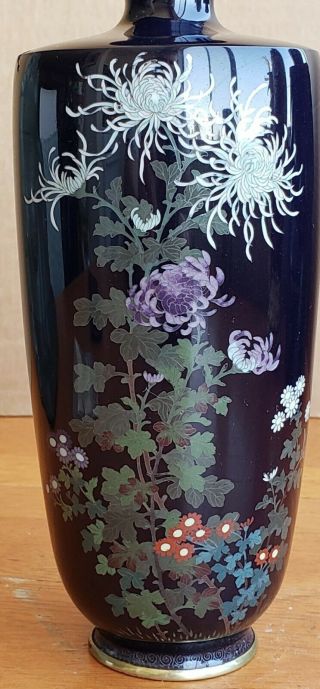 Signed Antique Japanese Ginbari Cloisonne Vase Dark Blue 7 Inch 6