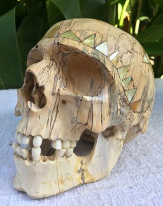 Human Skull Hand Carved Sculpture Wood Realistic Human Skull Figures Decor 4