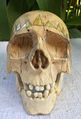 Human Skull Hand Carved Sculpture Wood Realistic Human Skull Figures Decor 6