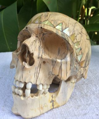 Human Skull Hand Carved Sculpture Wood Realistic Human Skull Figures Decor 7