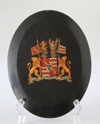 Antique 19th C.  Painting,  Coat Of Arms,  Family Crest,  Van Arkel Baron D 