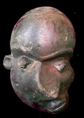 Old Tribal Pende Deformed Mask - - - Congo Bn 35