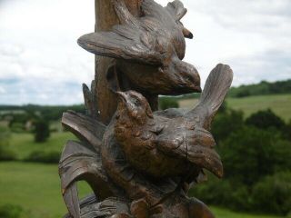 19thc Large Black Forest Oak Carving With Birds On Tree C.  1870