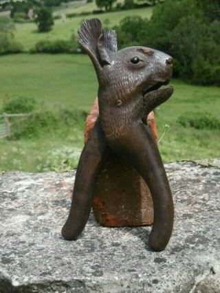 19thc Black Forest Mahogany Carved Squirrel Nutcracker Glass Eyes