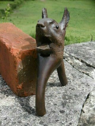 19thc BLACK FOREST MAHOGANY CARVED SQUIRREL NUTCRACKER GLASS EYES 4