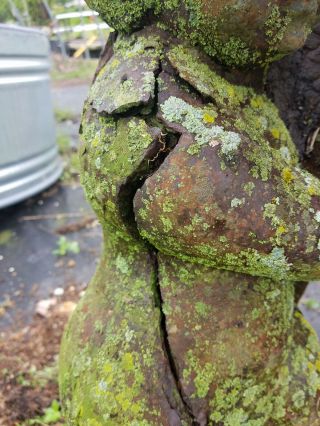 Large CHERUB w/ FISH Vintage Unearthed Cast Iron Garden Ornament Statue Statuary 10
