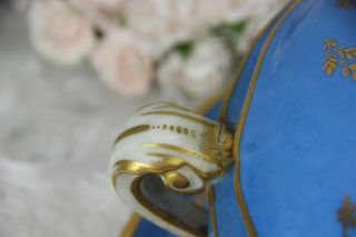 Antique French Porcelain centerpiece bowl floral hand paint plate manner sevres 4